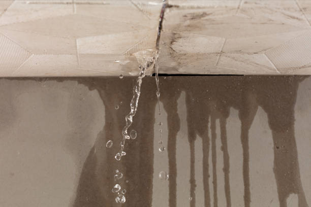 Professional Water Extraction technician working in Houston, MO